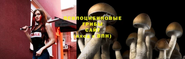 ешки Медногорск