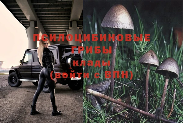 кокаин премиум Михайлов